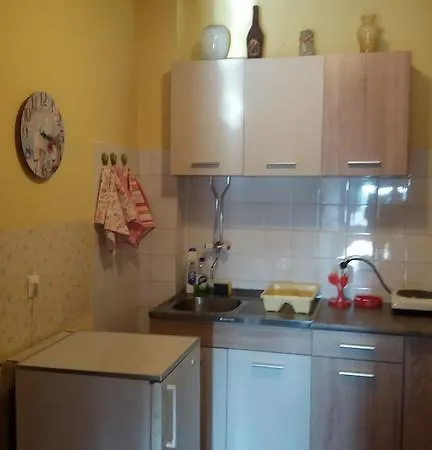 Andjela Lejlighed Zlatibor